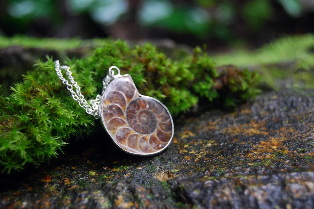 Ammonite Fossil Shell Necklace | Fossilized Shell Necklace | Ammonite Pendant | Nautilus Necklace