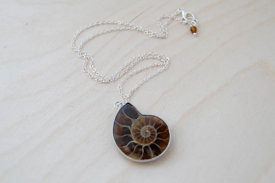 Ammonite Fossil Shell Necklace | Fossilized Shell Necklace | Ammonite Pendant | Nautilus Necklace