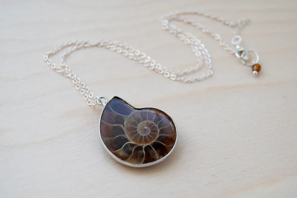 Ammonite Fossil Shell Necklace | Fossilized Shell Necklace | Ammonite Pendant | Nautilus Necklace