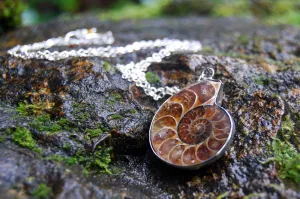 Ammonite Fossil Shell Necklace | Fossilized Shell Necklace | Ammonite Pendant | Nautilus Necklace