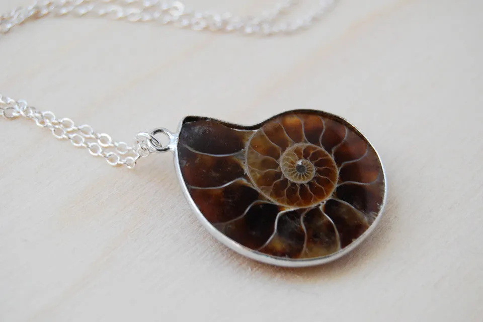 Ammonite Fossil Shell Necklace | Fossilized Shell Necklace | Ammonite Pendant | Nautilus Necklace
