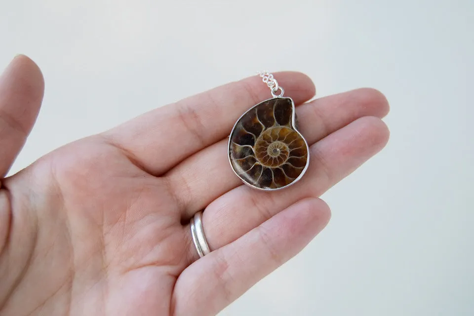 Ammonite Fossil Shell Necklace | Fossilized Shell Necklace | Ammonite Pendant | Nautilus Necklace
