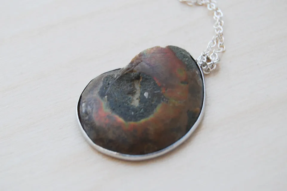 Ammonite Fossil Shell Necklace | Fossilized Shell Necklace | Ammonite Pendant | Nautilus Necklace
