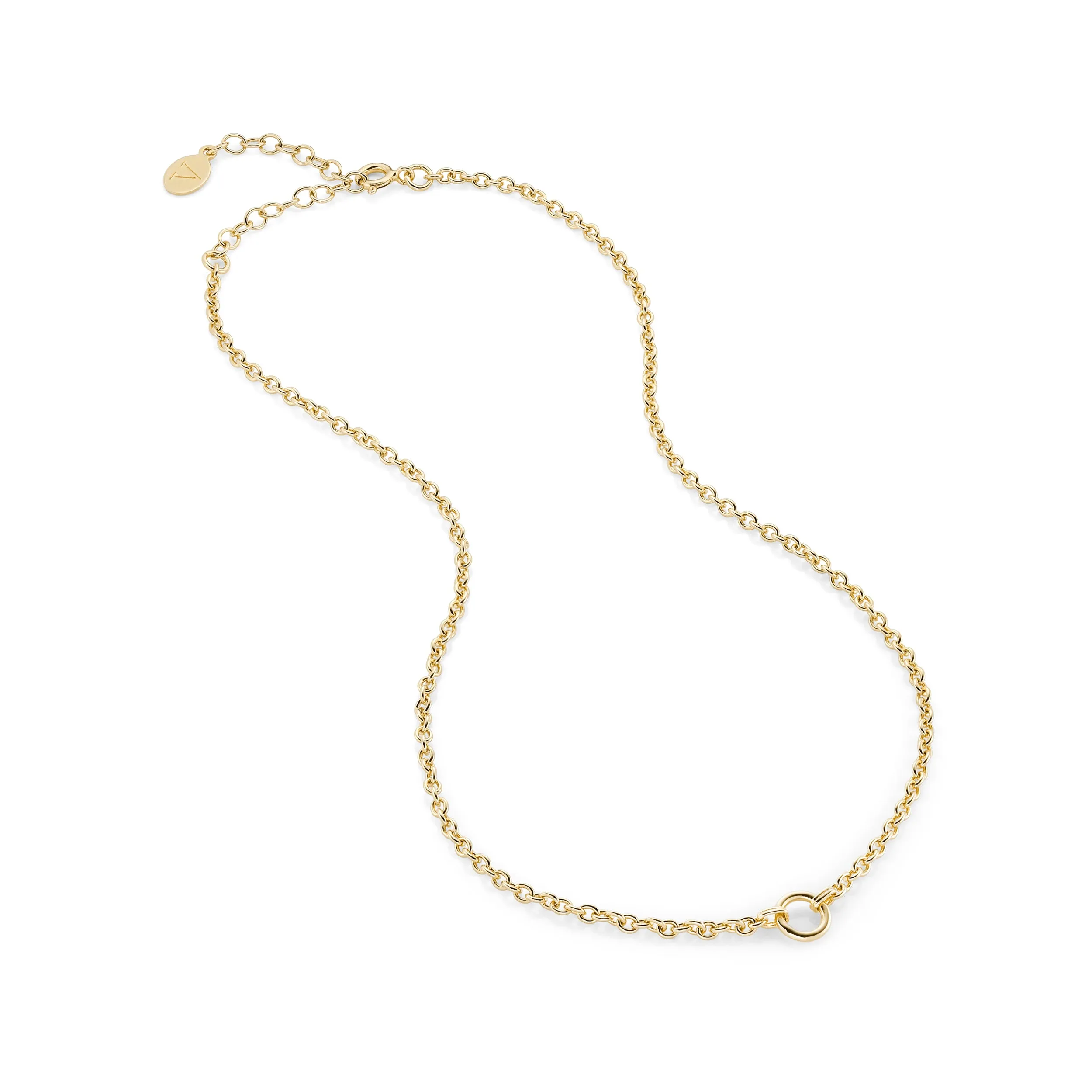 August: Peridot Charm on Carrier Chain