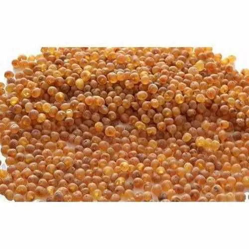 Child Bees Knees Raw Honey Baltic Amber Anklet Bracelet