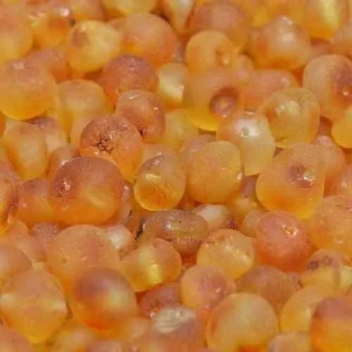 Child Bees Knees Raw Honey Baltic Amber Anklet Bracelet