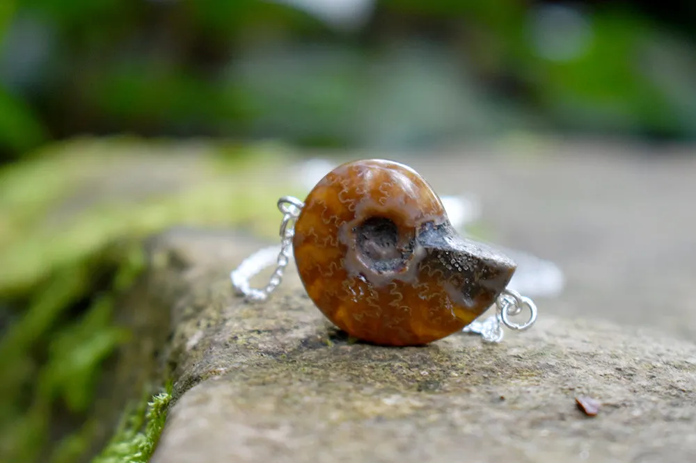 Full Ammonite Fossil Shell Necklace | Fossilized Shell Necklace | Ammonite Pendant