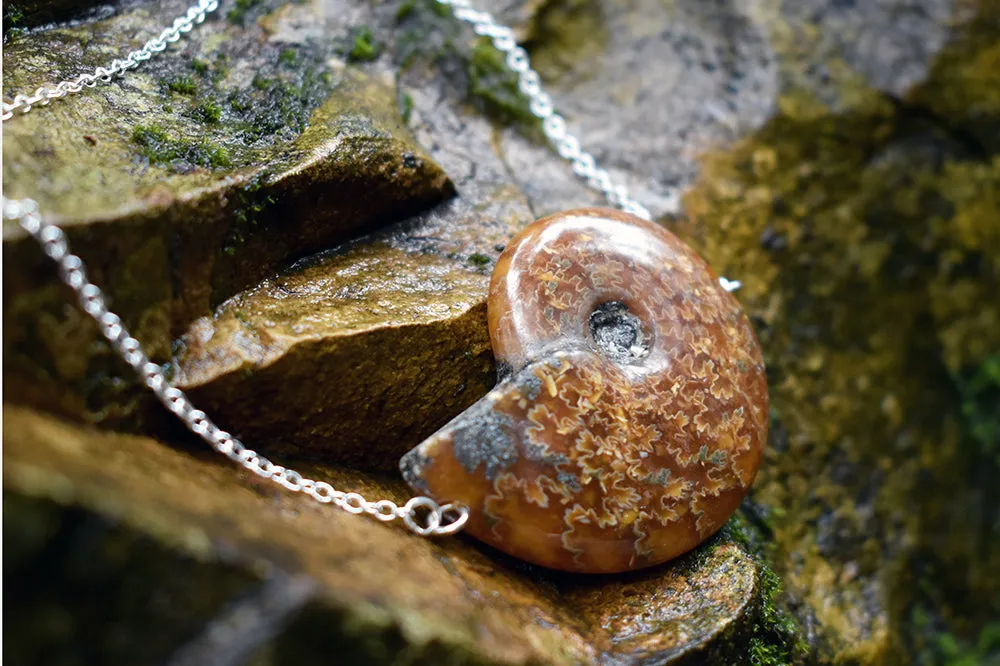 Full Ammonite Fossil Shell Necklace | Fossilized Shell Necklace | Ammonite Pendant