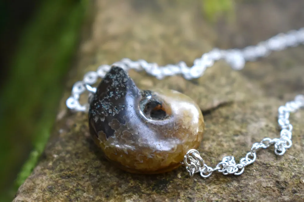 Full Ammonite Fossil Shell Necklace | Fossilized Shell Necklace | Ammonite Pendant