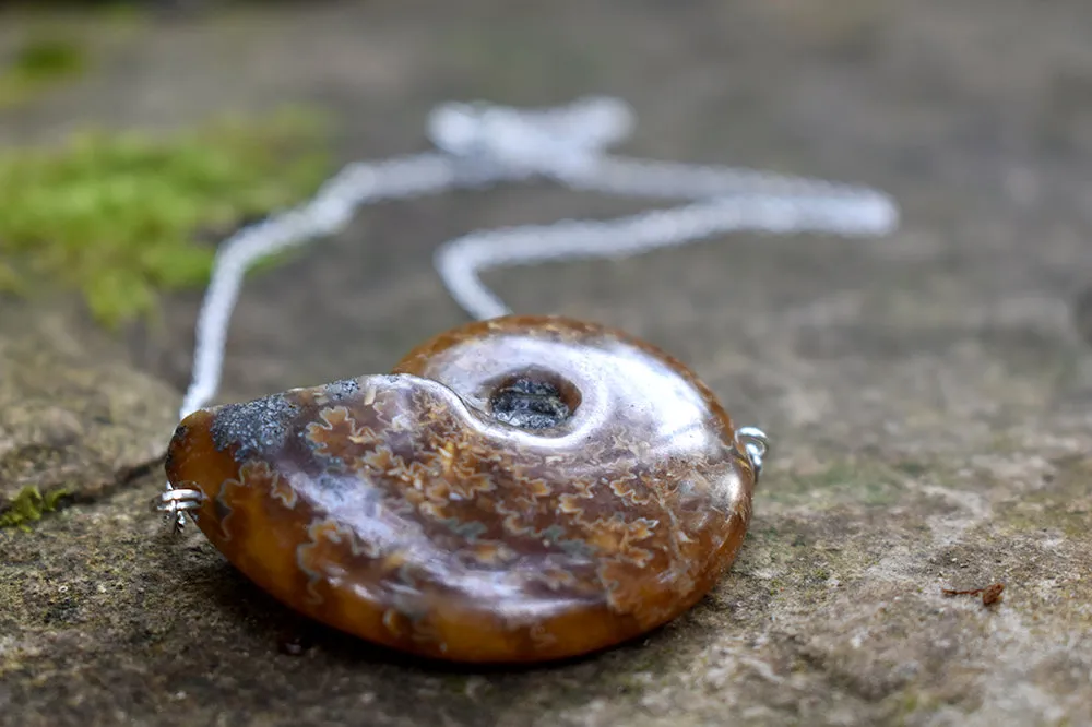 Full Ammonite Fossil Shell Necklace | Fossilized Shell Necklace | Ammonite Pendant