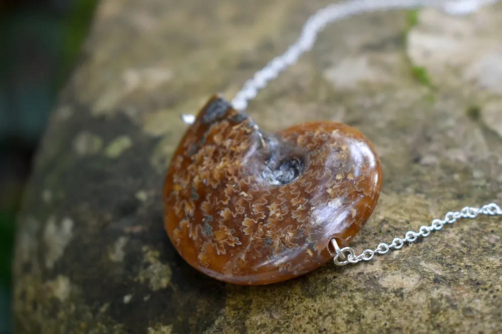 Full Ammonite Fossil Shell Necklace | Fossilized Shell Necklace | Ammonite Pendant