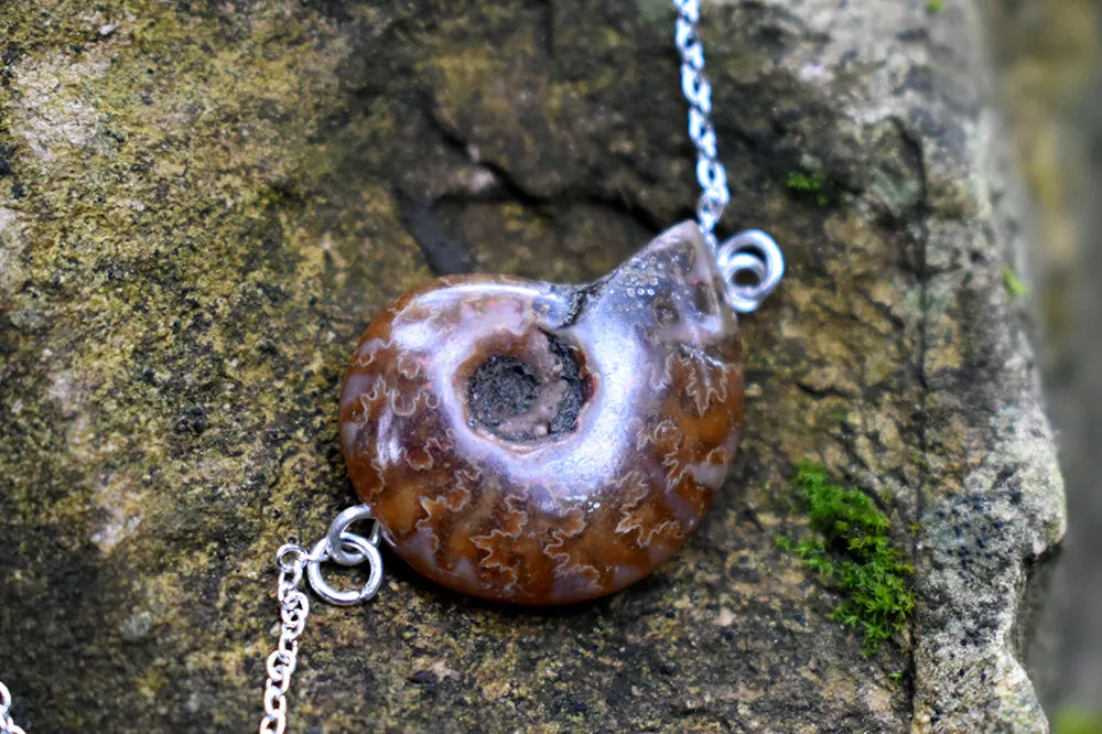 Full Ammonite Fossil Shell Necklace | Fossilized Shell Necklace | Ammonite Pendant