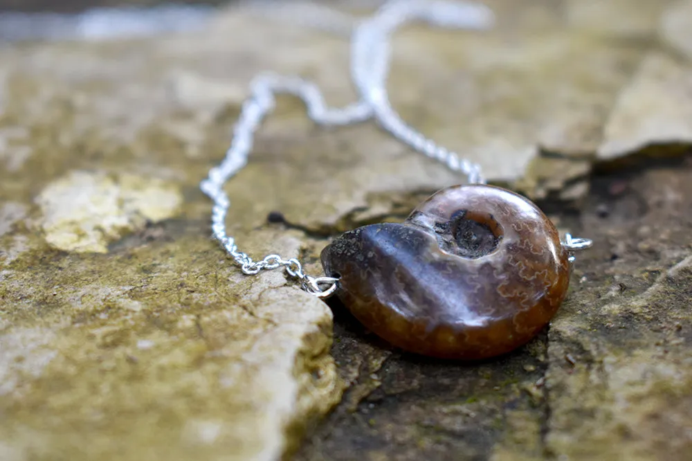 Full Ammonite Fossil Shell Necklace | Fossilized Shell Necklace | Ammonite Pendant