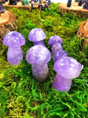 Large Mushrooms