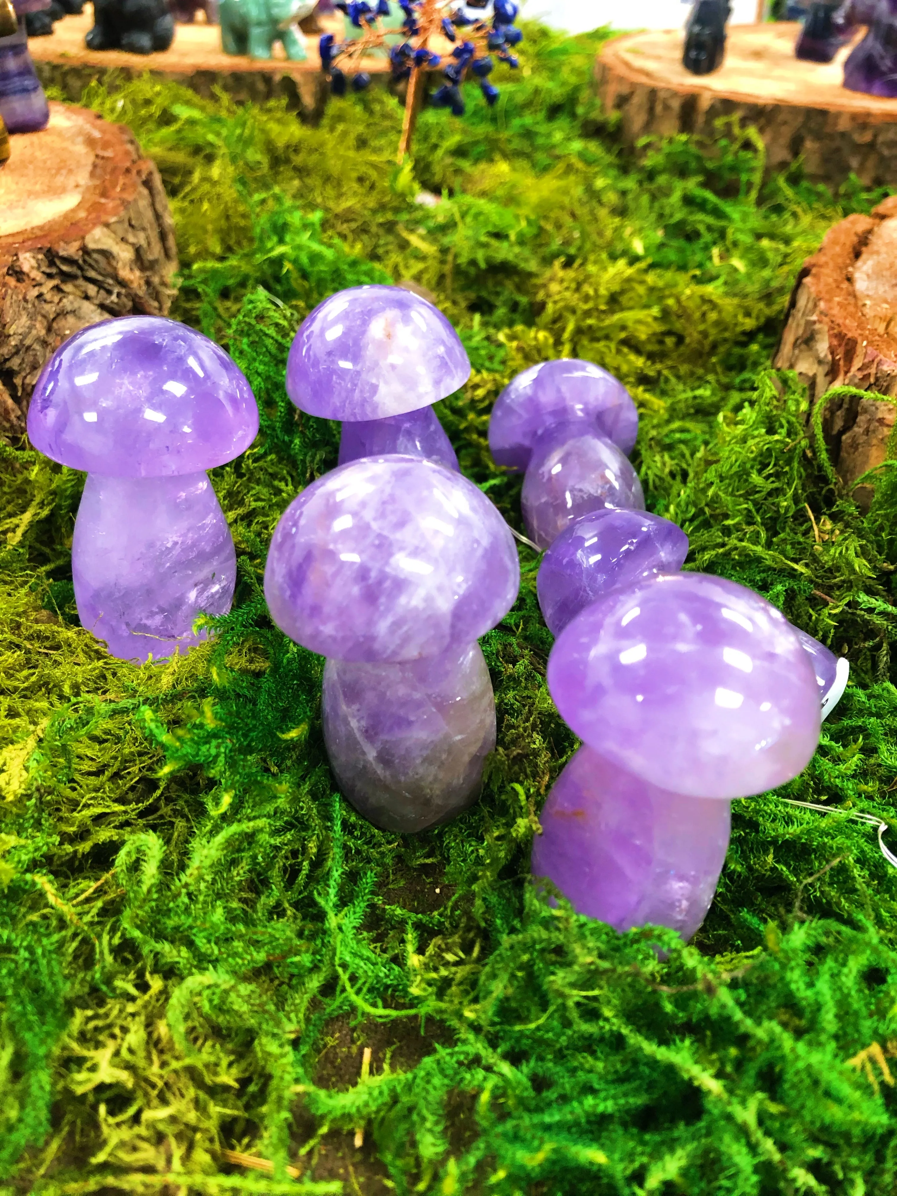 Large Mushrooms