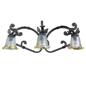 Laura Lee Designs Wall Light Sconce, Iron with 3 Glass Shades
