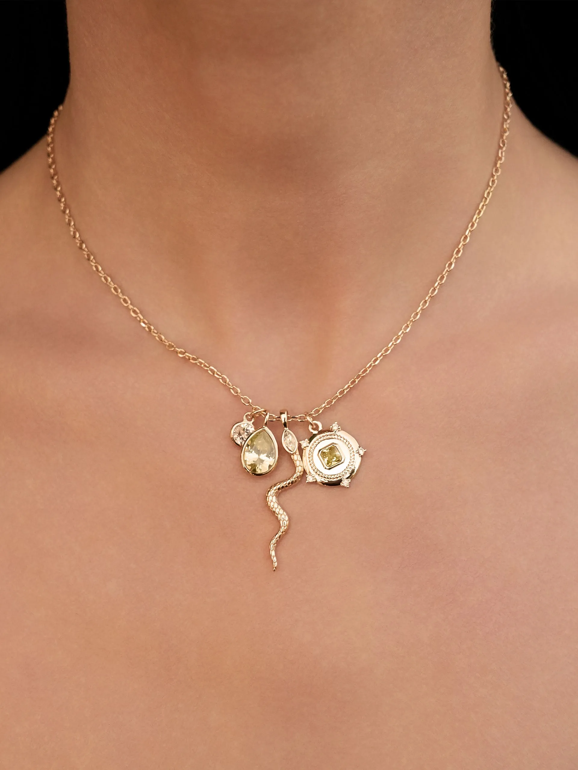 Serpentina Charm Necklace
