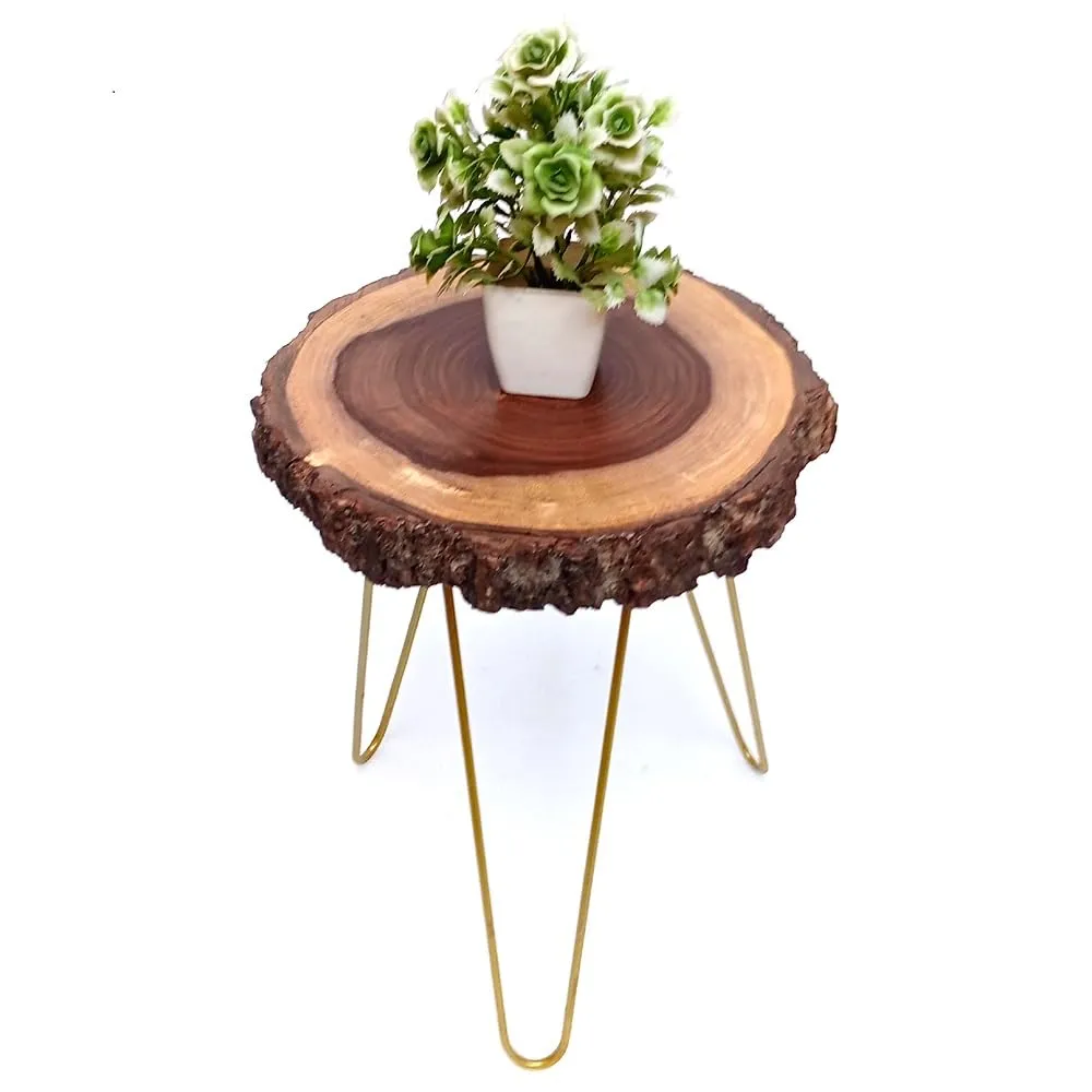 Unique home Beautiful Wooden Bark End Table Corner Plant Stand | Small Side Table | Foldable Stool for Living Room Bedroom Decor (30 x 30 x 33 cm) Golden Metal Hairpin Legs
