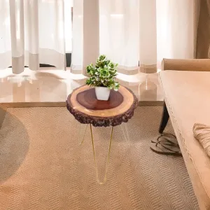 Unique home Beautiful Wooden Bark End Table Corner Plant Stand | Small Side Table | Foldable Stool for Living Room Bedroom Decor (30 x 30 x 33 cm) Golden Metal Hairpin Legs