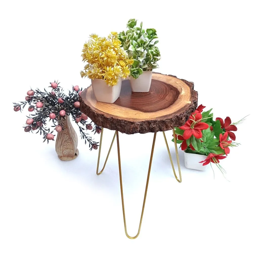 Unique home Beautiful Wooden Bark End Table Corner Plant Stand | Small Side Table | Foldable Stool for Living Room Bedroom Decor (30 x 30 x 33 cm) Golden Metal Hairpin Legs