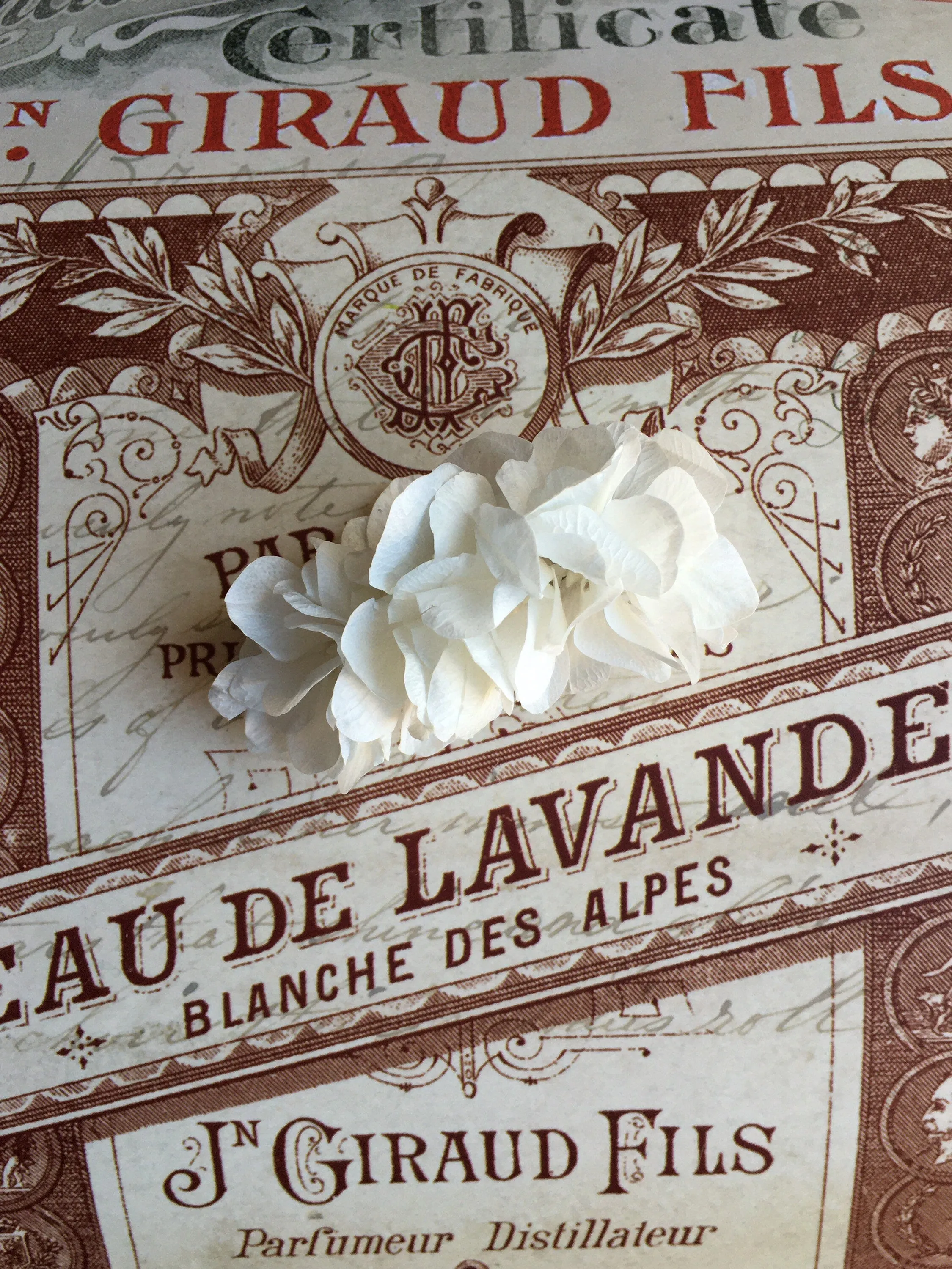 White Flower Barrette, Boho Bridal Headpiece, Preserved Hydrangea, Bohemian Wedding Accessories, Stabilised Flower Headband, Bride Headpiece